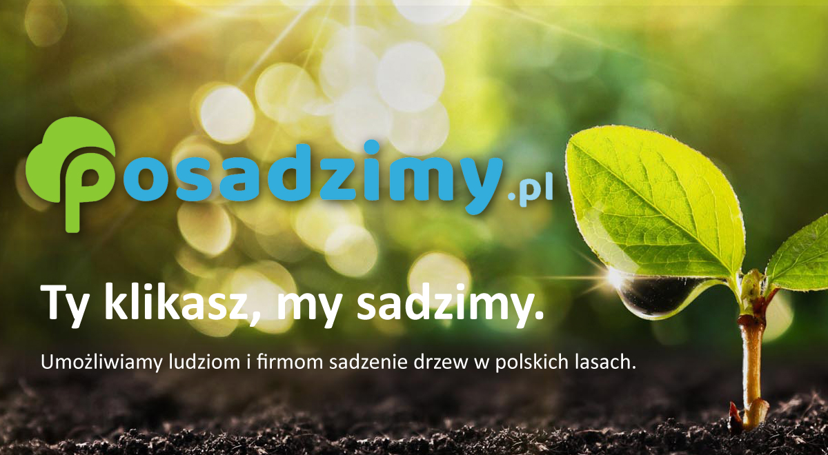Forest banner
