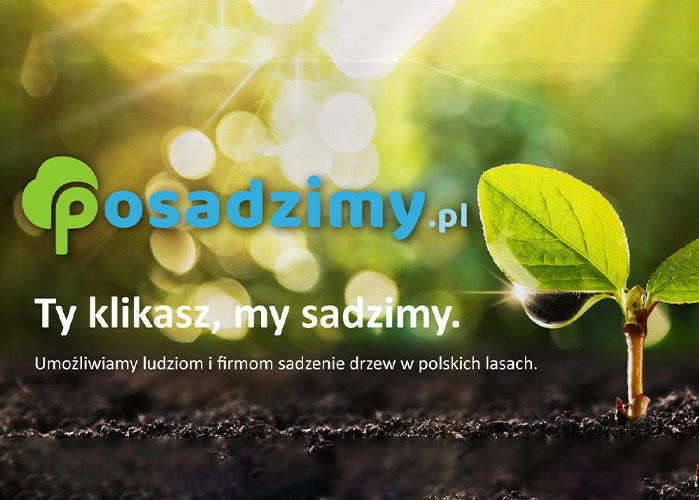 Sadzenie drzew