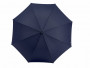 Parasol Cirrus