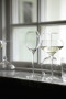Kieliszek do szampana SAGA GLASS 20CL 2-szt, transparentny