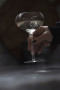 Kieliszek do szampana SAGA GLASS 27CL 2-szt, transparentny