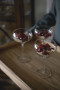 Kieliszek do szampana SAGA GLASS 27CL 2-szt, transparentny